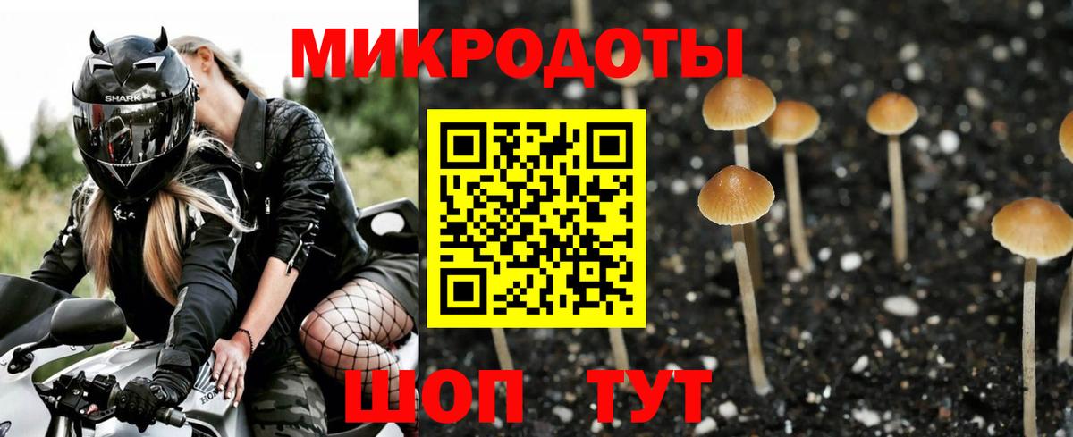 Псилоцибиновые грибы прущие грибы  Галлюциногенные грибы Psilocybine cubensis  Междуреченск  Вход с VPN 